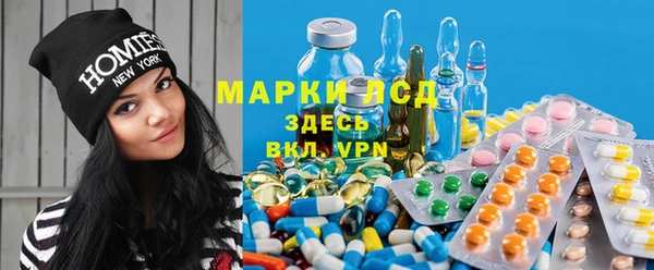 прущие крисы Магадан