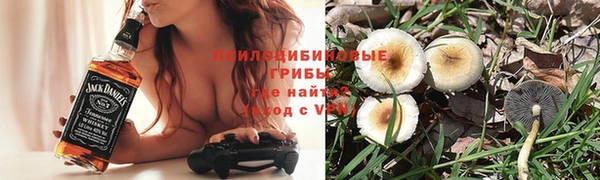 прущие крисы Магадан